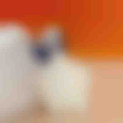 Blazinica za peto za zmanjšanje bolečin v peti | STEPHEEL